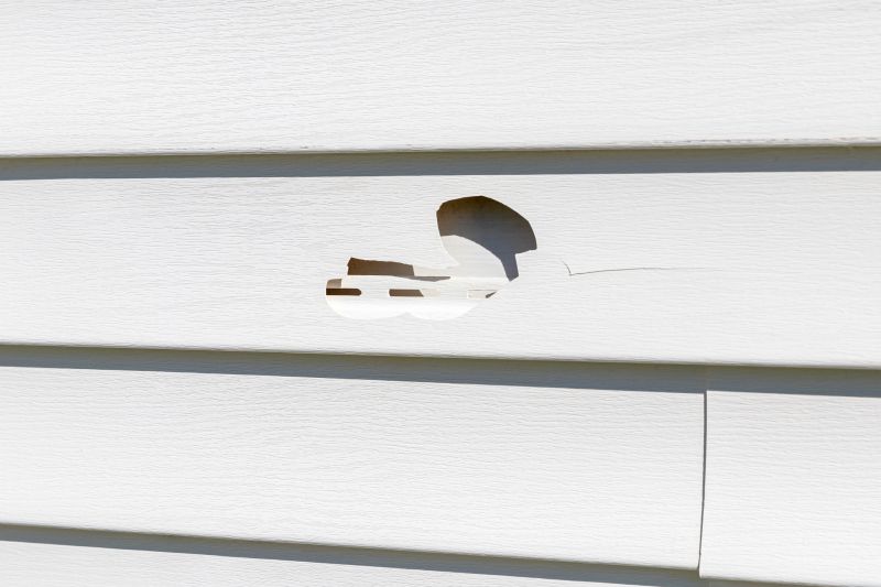 Crack Repair in Vinyl Siding